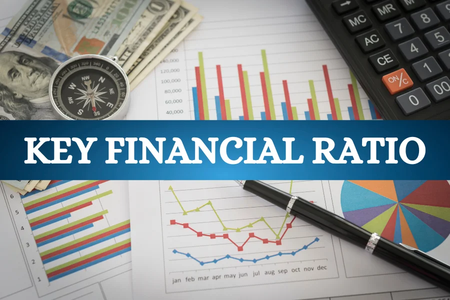 Key Financial Ratios And How To Use Them To Analyse Your Investment