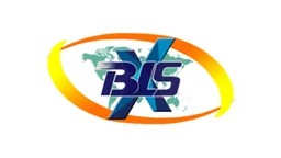 BLSX Limited Unlisted Shares